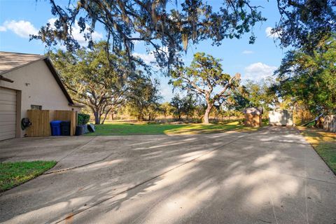 A home in RIVERVIEW