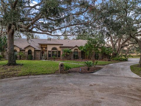 A home in RIVERVIEW