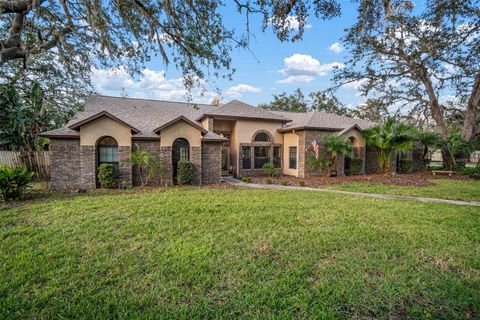 A home in RIVERVIEW