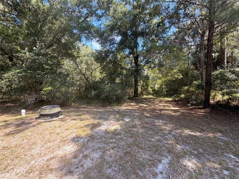 Tiny photo for 54750 County Road 445a, Astor, FL 32102 (MLS # R4912060)