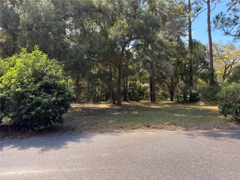 Tiny photo for 54750 County Road 445a, Astor, FL 32102 (MLS # R4912060)