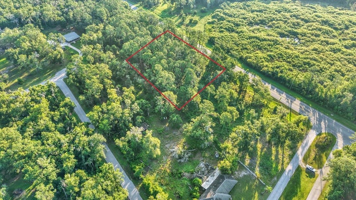 Photo 1 of 19 — 0 TREIMAN BOULEVARD, WEBSTER, FL 33597