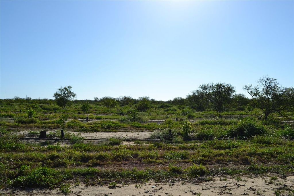 Photo of Garfield Nursery Road, Babson Park, FL 33827 (MLS # O6331222)