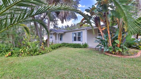 Photo of 415 Sioux Boulevard, Oak Hill, FL 32759 (MLS # NS1087190)