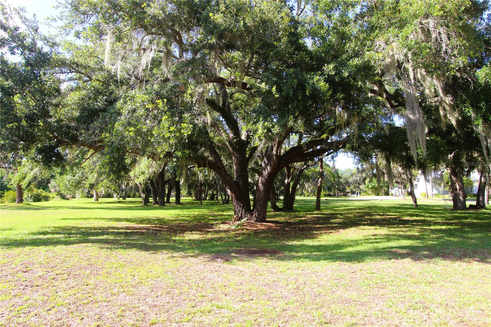 LIGHTHOUSE COVE PHASE 2B - Residential