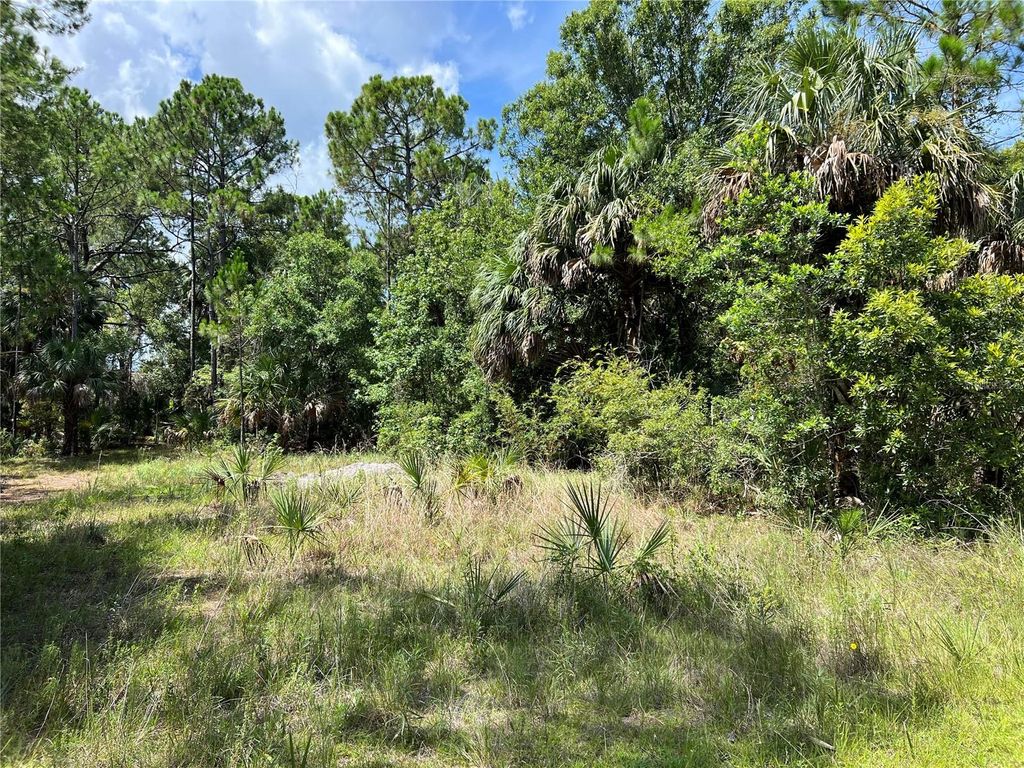 Photo of Tbd Girard Road, Hudson, FL 34679 (MLS # U8208217)