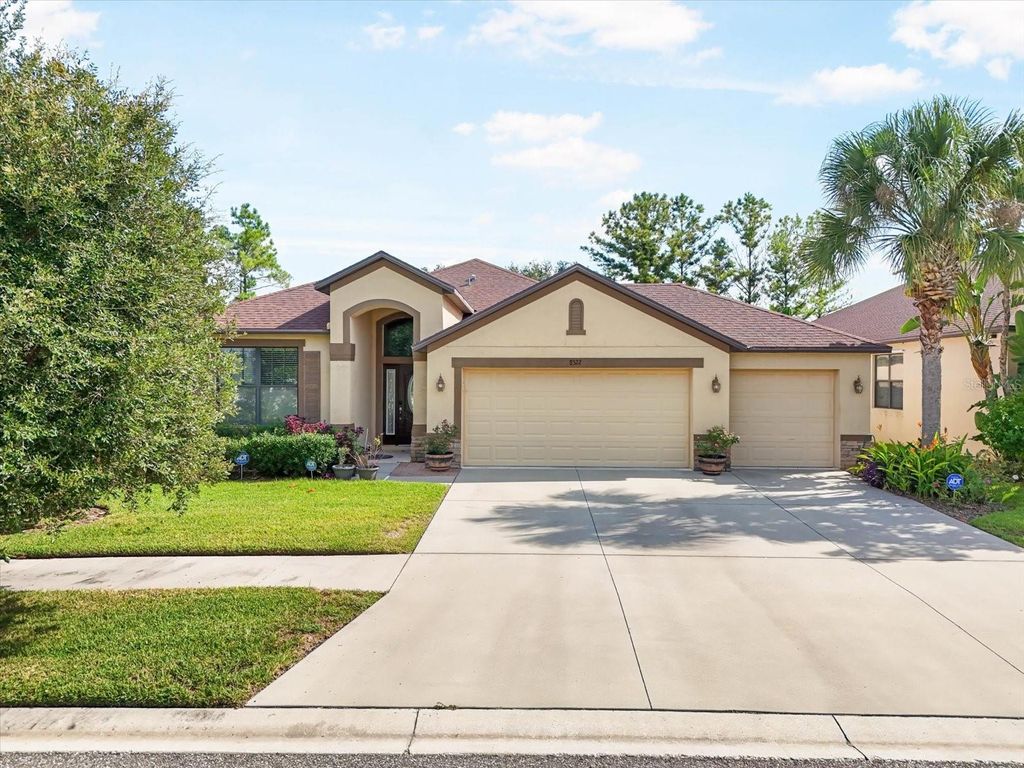 Photo of 8522 White Poplar Drive, Riverview, FL 33578 (MLS # TB8451296)