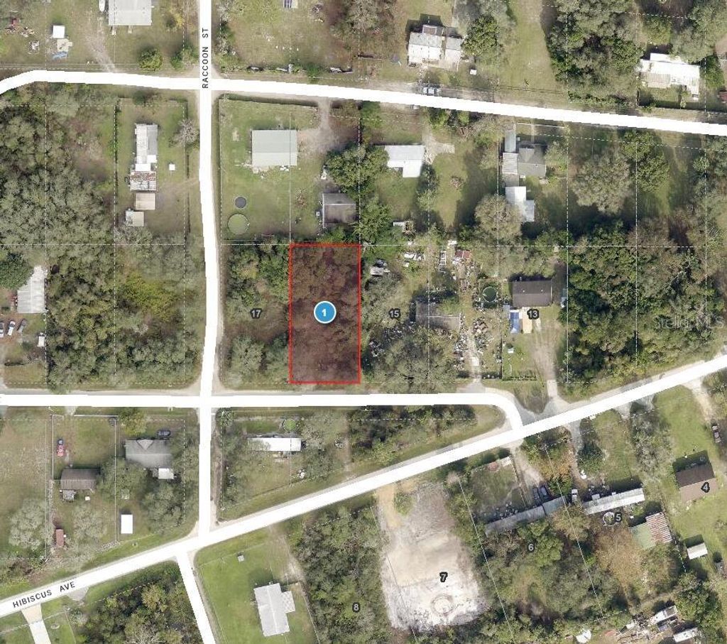 Photo of Azalea Avenue, Paisley, FL 32767 (MLS # O6355049)