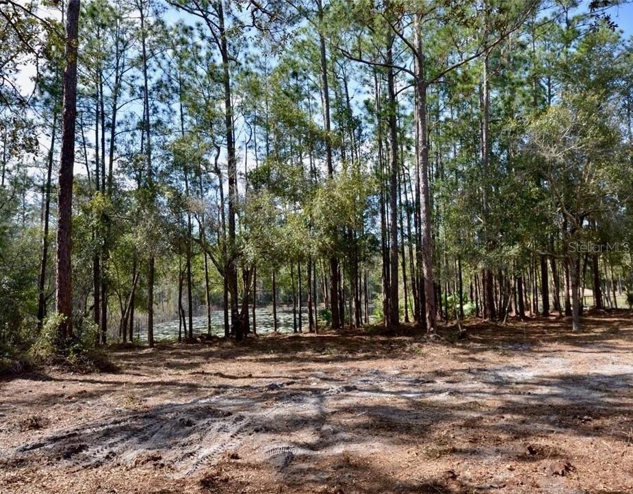 3525 MICHIGAN STREET