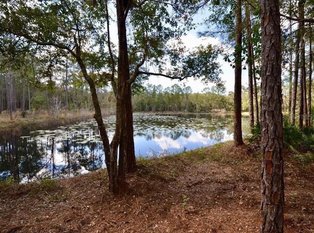 Photo of 3525 Michigan Street, Lake Mary, FL 32746 (MLS # O6368786)