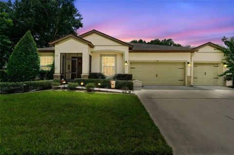 541 MORGAN WOOD DRIVE DELAND FL 32724