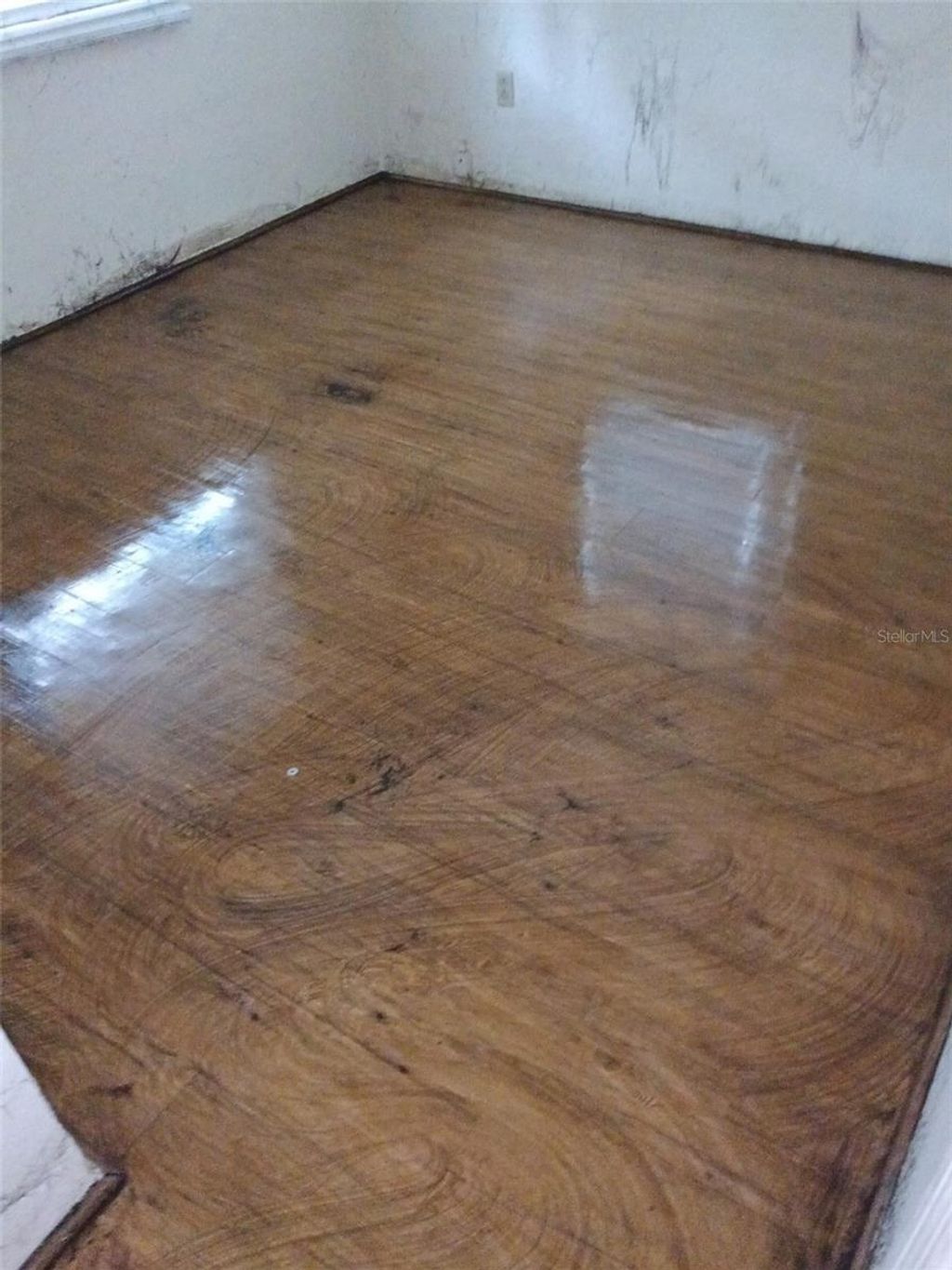 Photo of 5604 Riverside Drive, Yankeetown, FL 34498 (MLS # A4680688)