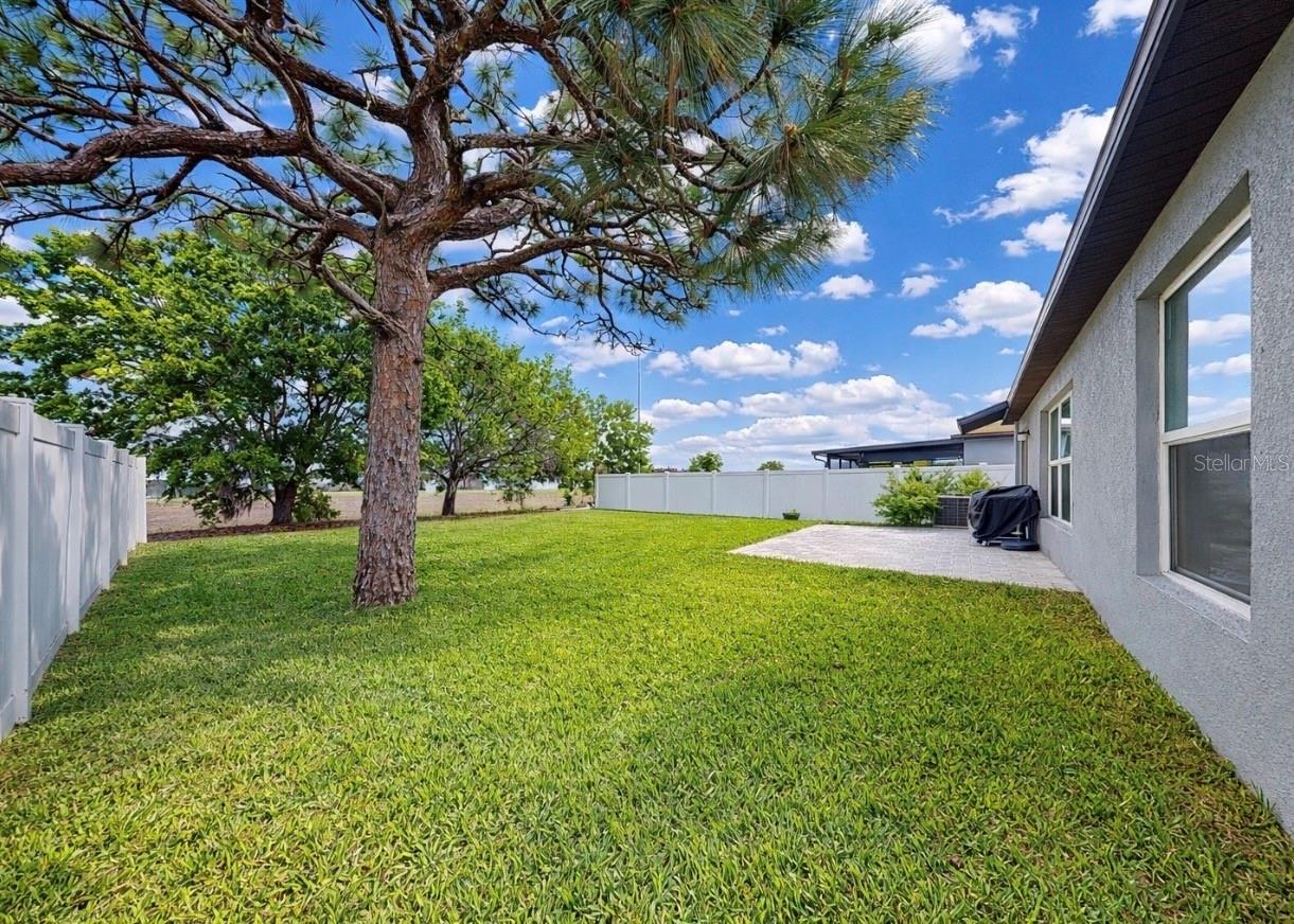 TRIPLE CRK VILLAGE N & P - Residential