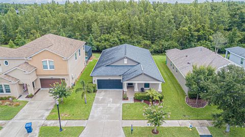 A home in LAND O LAKES