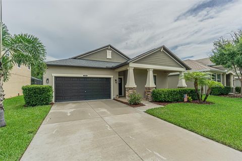 A home in LAND O LAKES