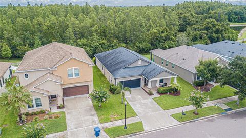 A home in LAND O LAKES