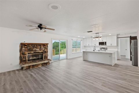 Tiny photo for 41636 Outlaw Lane, Weirsdale, FL 32195 (MLS # G5099467)