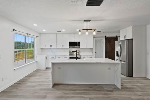 Tiny photo for 41636 Outlaw Lane, Weirsdale, FL 32195 (MLS # G5099467)