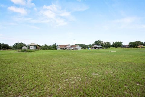 Tiny photo for 41636 Outlaw Lane, Weirsdale, FL 32195 (MLS # G5099467)