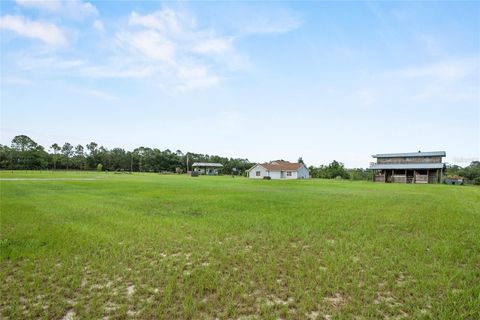 Tiny photo for 41636 Outlaw Lane, Weirsdale, FL 32195 (MLS # G5099467)
