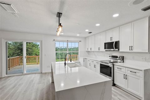 Tiny photo for 41636 Outlaw Lane, Weirsdale, FL 32195 (MLS # G5099467)