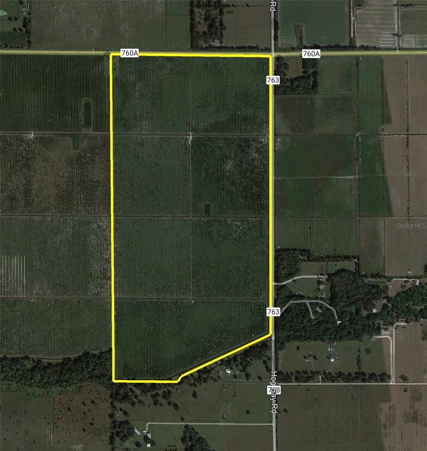 Introducing an extraordinary opportunity in DeSoto County, Florida—a sprawling 293-acre parcel of land that is perfectly suited for transitional agricultural use and holds immense potential for future development. Located just 5 minutes South of Arcadia this land benefits from a strategic location on the corner of Co Rd 760A and 763 seamlessly blending serene countryside living with convenient access to amenities and services. Additionally, its proximity to Highway 31 ensures easy commutes to Punta Gorda, Ft. Myers and Babcock Ranch. One of the standout features of this property is its extensive road frontage, boasting over 7,000 feet of access along its boundaries. This substantial frontage enhances accessibility and facilitates potential development and subdivision, making it an enticing prospect for investors, developers, or individuals looking to create their own unique estate properties. The property also features two deep agricultural wells if you are looking to start or expand your agricultural venture. This land is in close proximity to the DeSoto County water system. The potential connectivity to the county's water system ensures access to a well-established infrastructure, further enhancing the potential for development. With careful planning, appropriate zoning, and the possibility of platting, this property can be transformed into individual lots within the property further enhancing its appeal. Whether you envision a private estate, a farming enterprise, or a thoughtfully designed subdivision catering to the increasing demand for housing in the area, this transitional piece of land offers a blank canvas for your vision to become a reality.