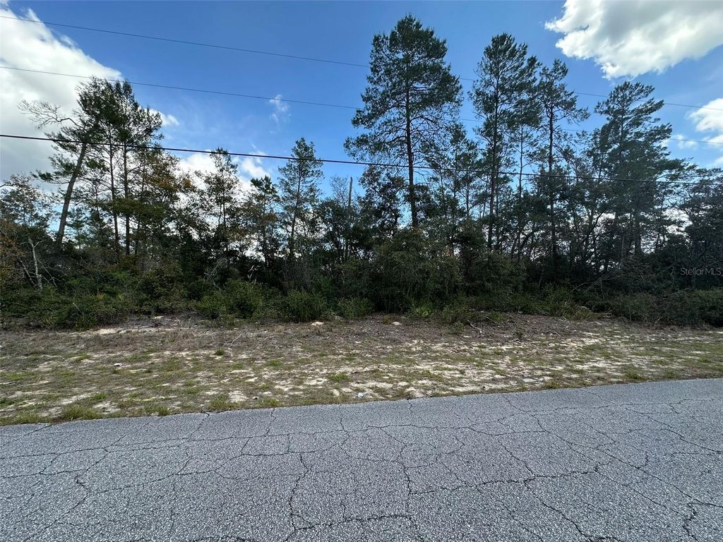 Photo of 8385 N Farrington Drive, Citrus Springs, FL 34433 (MLS # OM719811)