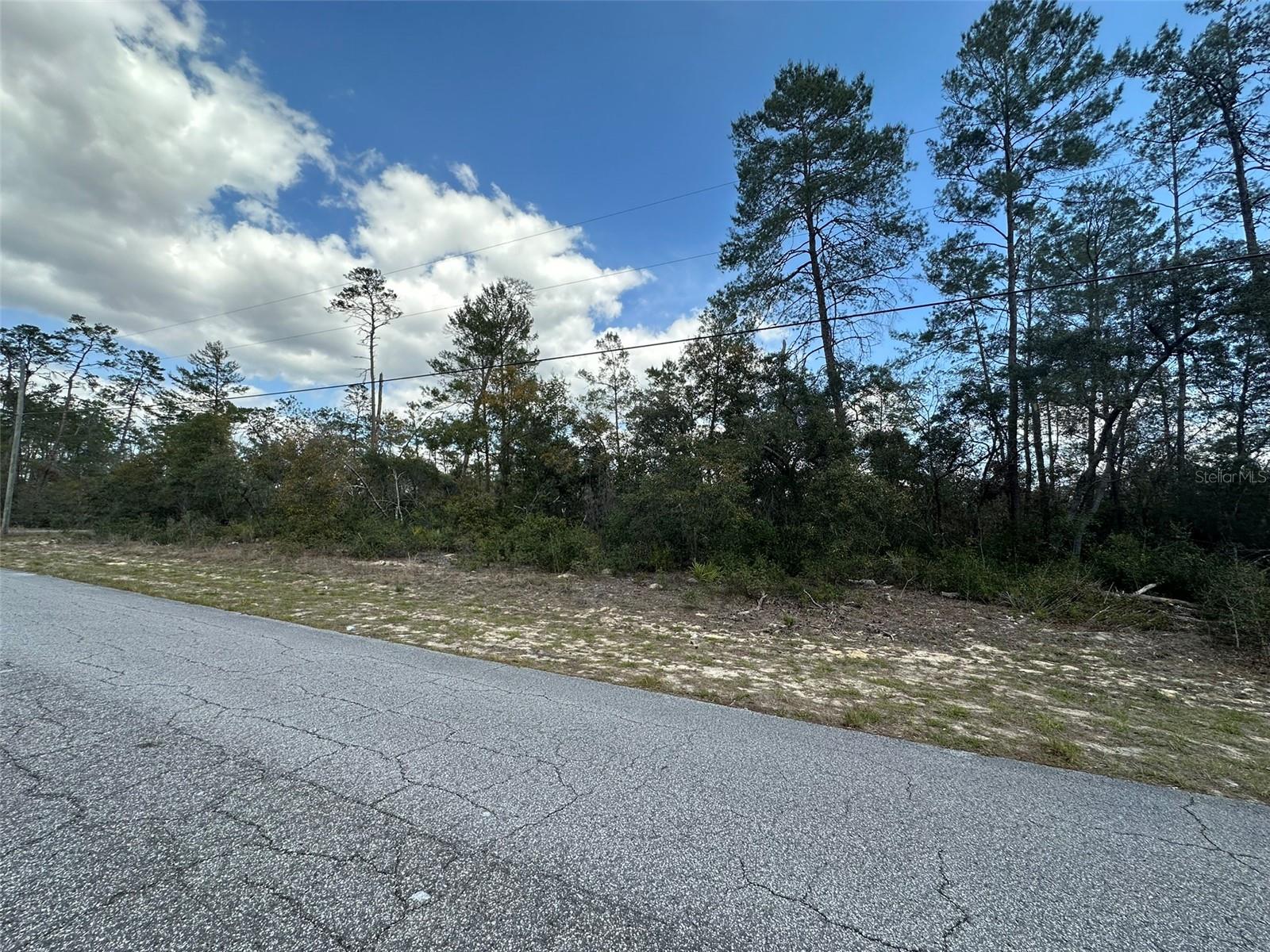 CITRUS SPGS UNIT 10 - Land