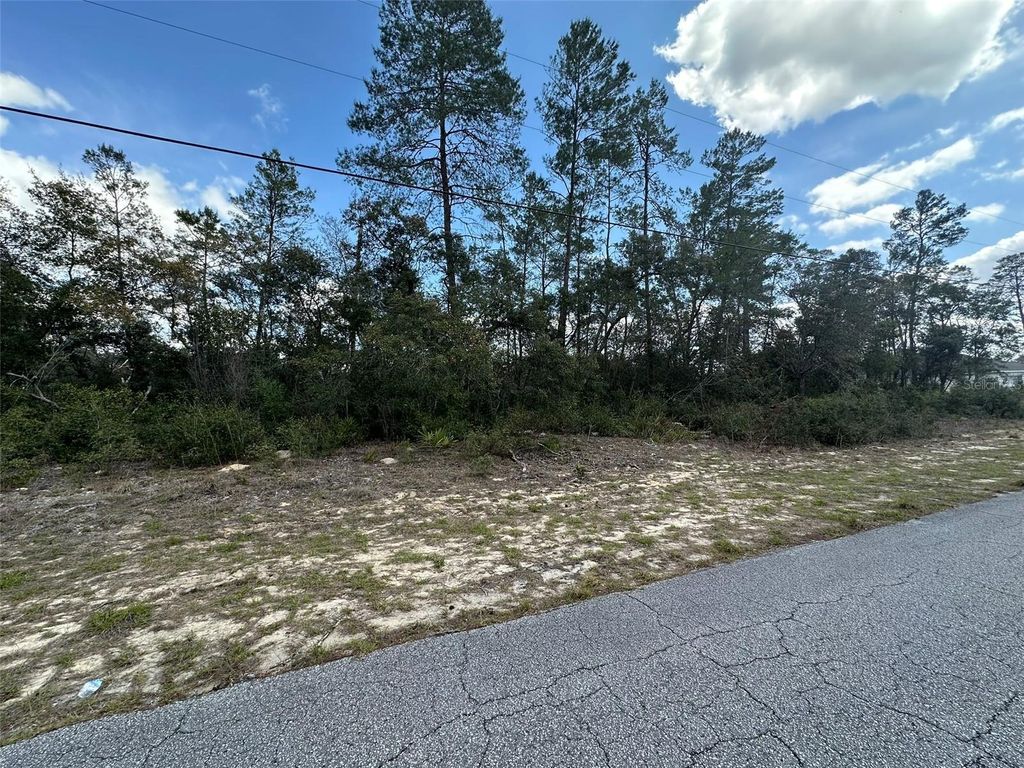 Photo of 8385 N Farrington Drive, Citrus Springs, FL 34433 (MLS # OM719811)