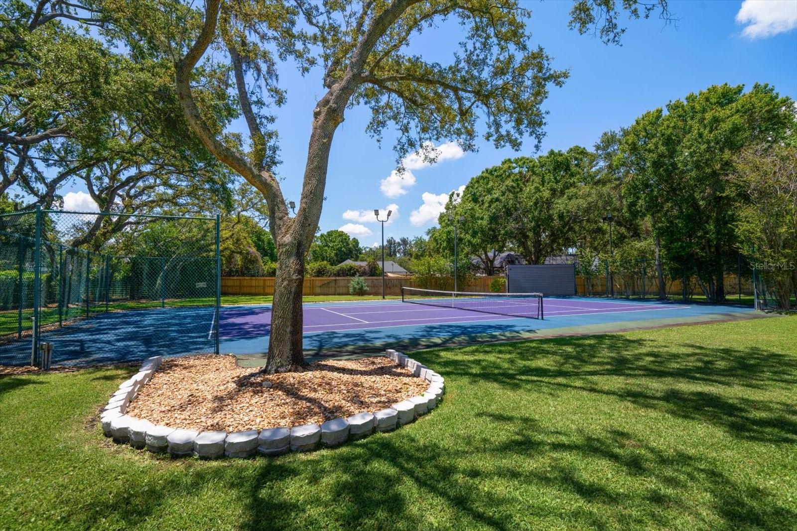 LITTLE PETE TR - Residential