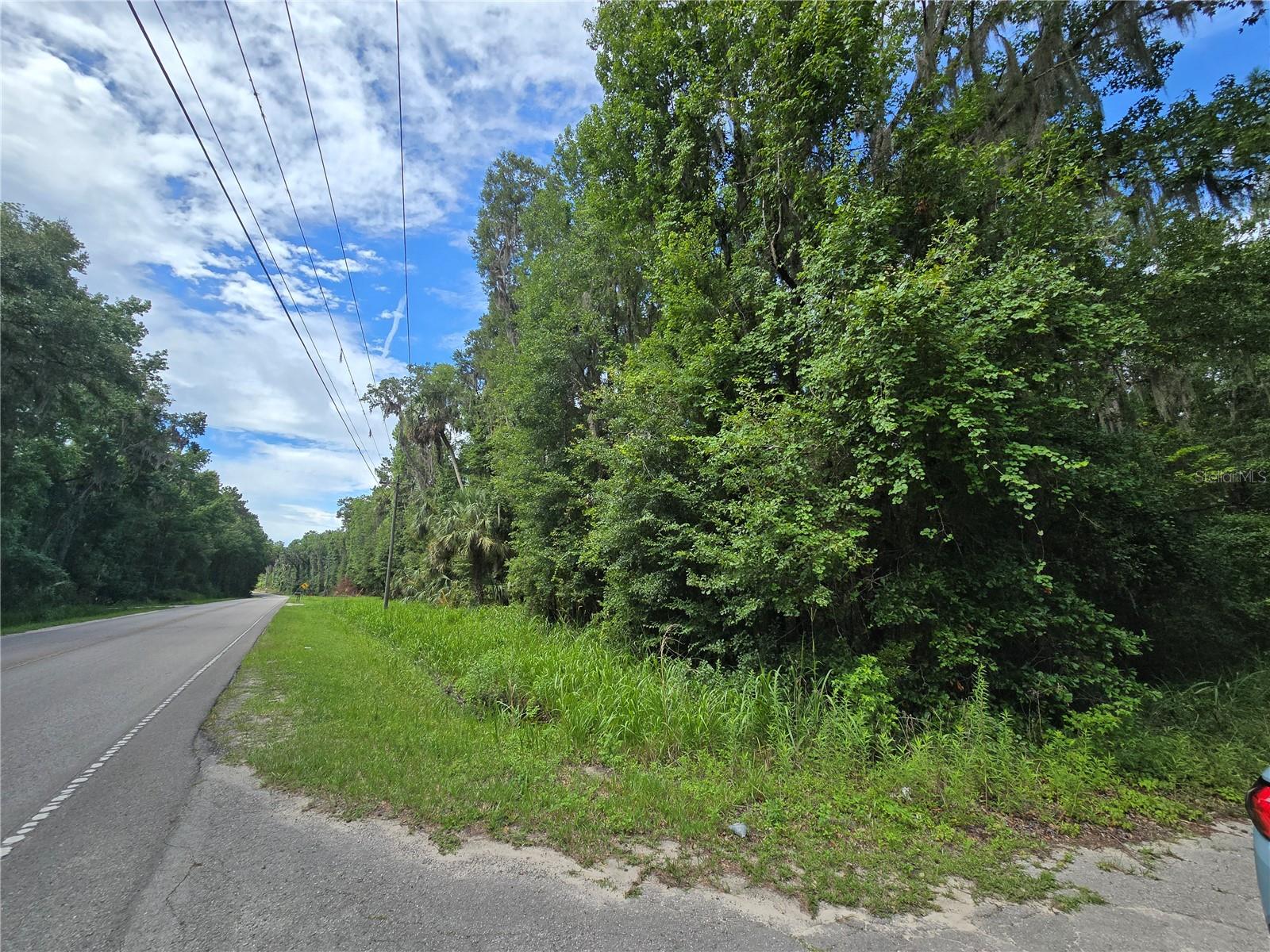 3-Acre Wooded Retreat in Charming Micanopy -- Zoned A-1 | High & Dry | Power Nearby | Paved Road Access
SELLER MOTIVATED - BRING OFFERS! Discover the perfect blend of privacy and natural beauty on this 3-acre wooded lot nestled on the peaceful Marion County side of historic Micanopy. Surrounded by mature trees and native vegetation, this untouched parcel offers a serene setting ideal for your dream home, cabin retreat, or investment hold.
Enjoy the benefits of rural living while still being just minutes from Gainesville, Ocala, and the cultural charm of downtown Micanopy. Bring your vision and your animals. In flood zone x, with plenty of space and flexibility, this property invites you to create a lifestyle rooted in nature.
Whether you’re seeking a peaceful homestead, a weekend escape, or a savvy land investment, this property delivers on location, character, and potential.