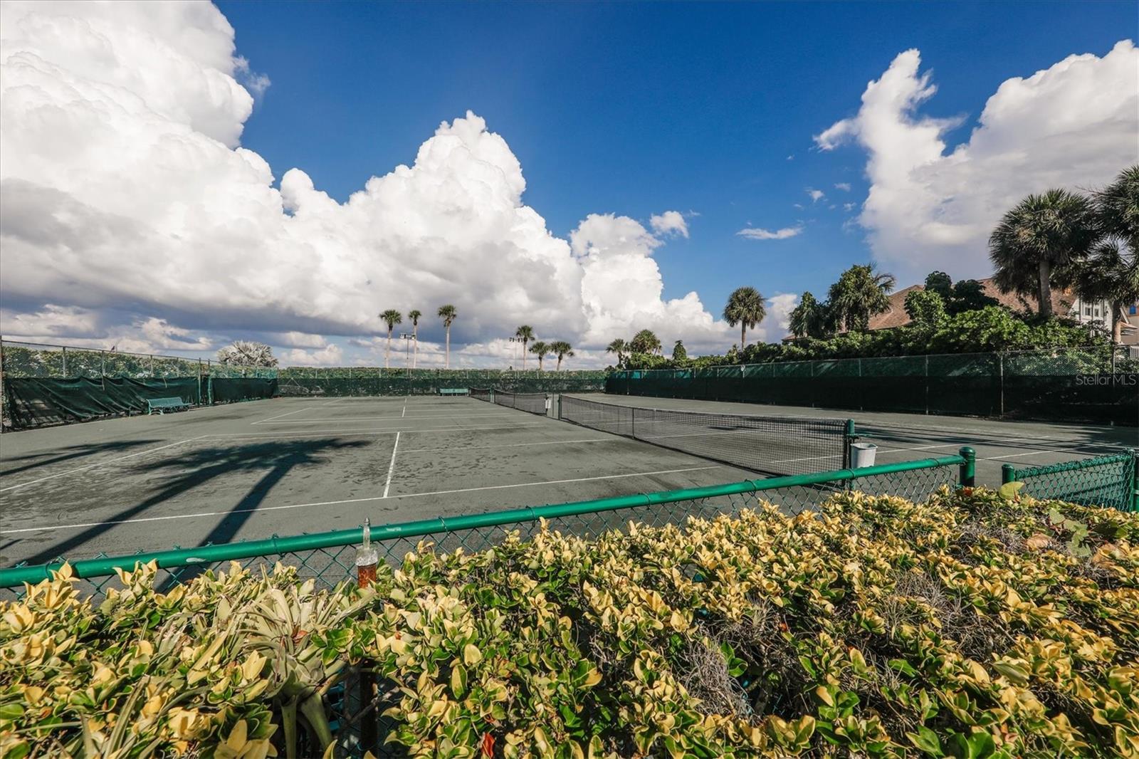 HARBOR TOWERS Y & R - Residential