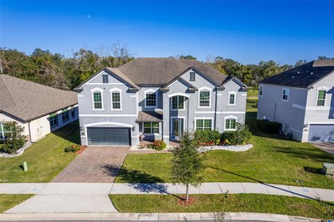 A home in WINTER GARDEN