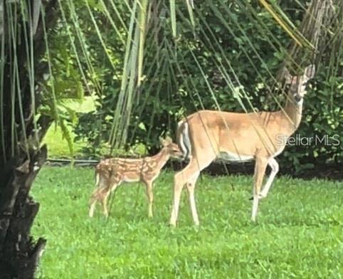 PRESERVE AT MISTY CREEK PH 02 THE - Residential