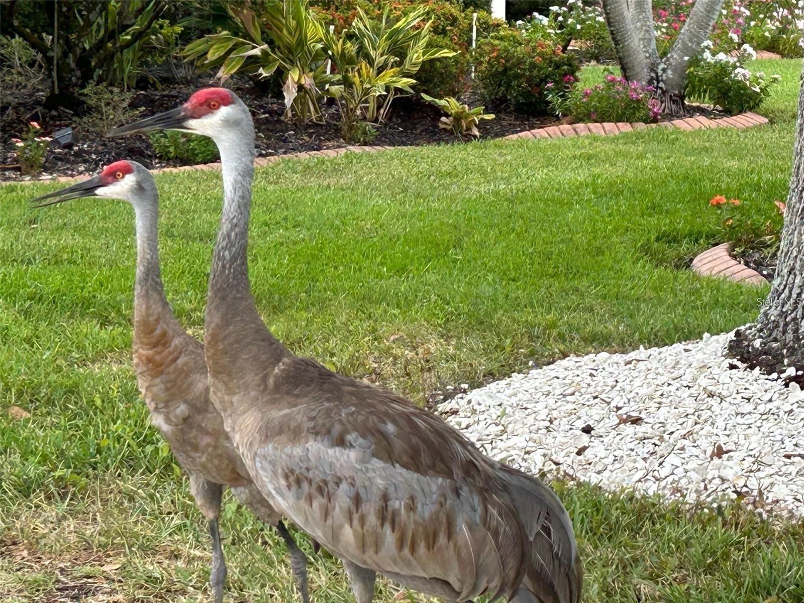 PRESERVE AT MISTY CREEK PH 02 THE - Residential