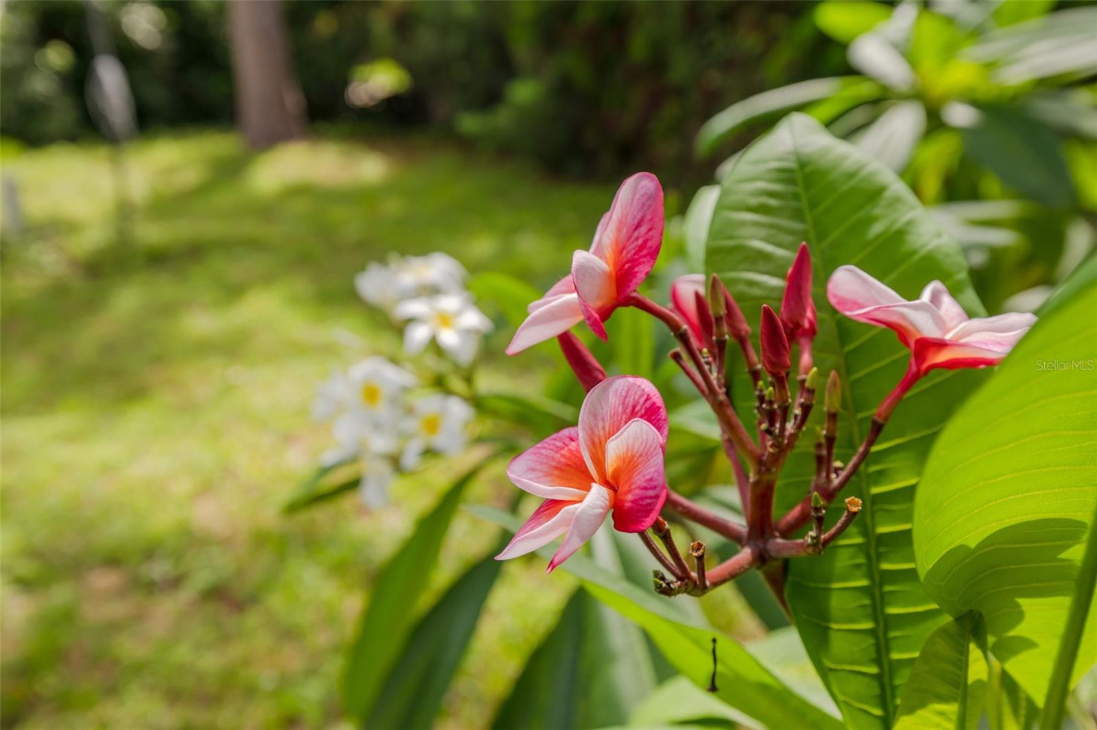 PALM TERRACE - Residential Lease