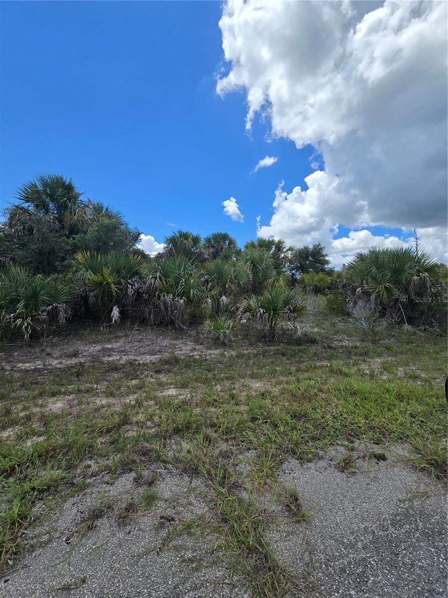 HAVEMEYER STREET, NORTH PORT, FL, 34288 1 HAVEMEYER STREET