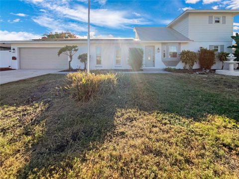 Photo of 7326 Shepherd Street, Sarasota, FL 34243 (MLS # O6377682)