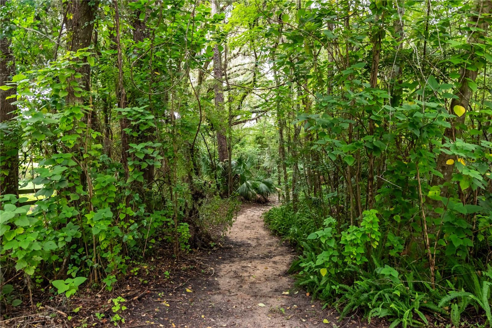 AG NOSUB - Residential