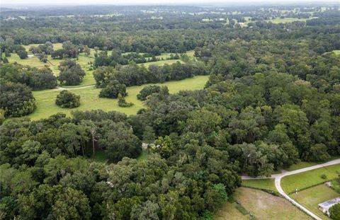 Tiny photo for 7901 NW 125th Street, Reddick, FL 32686 (MLS # OM711917)