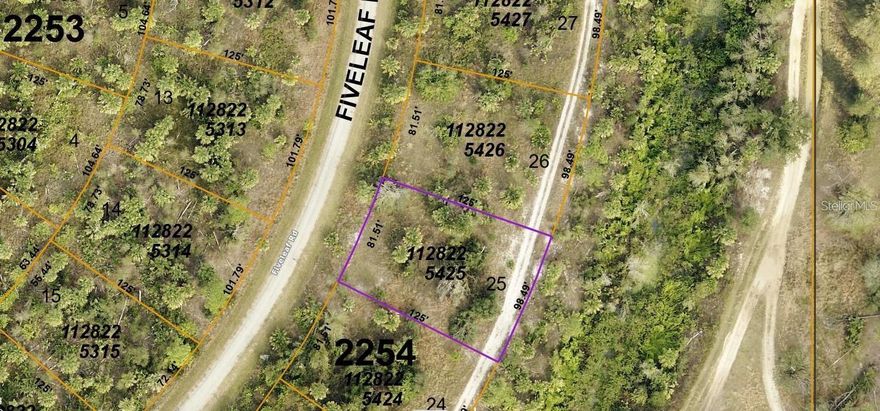 Looking for a buildable lot in the lovey Southern Florida State and not too far from the famous Sarasota beaches? Might have found it here with us. No current HOA,CDD or Flood Zone.