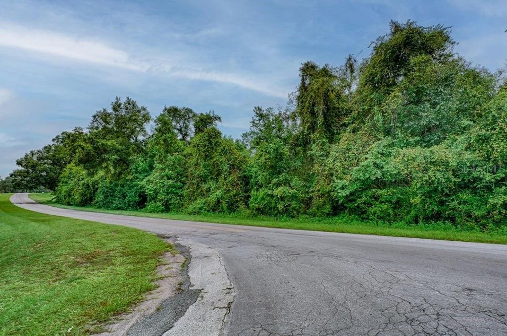 Photo of SE 9th Avenue, Starke, FL 32091 (MLS # O6363632)