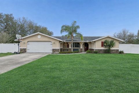 Photo of 9732 Casey Drive, New Port Richey, FL 34654 (MLS # W7882442)