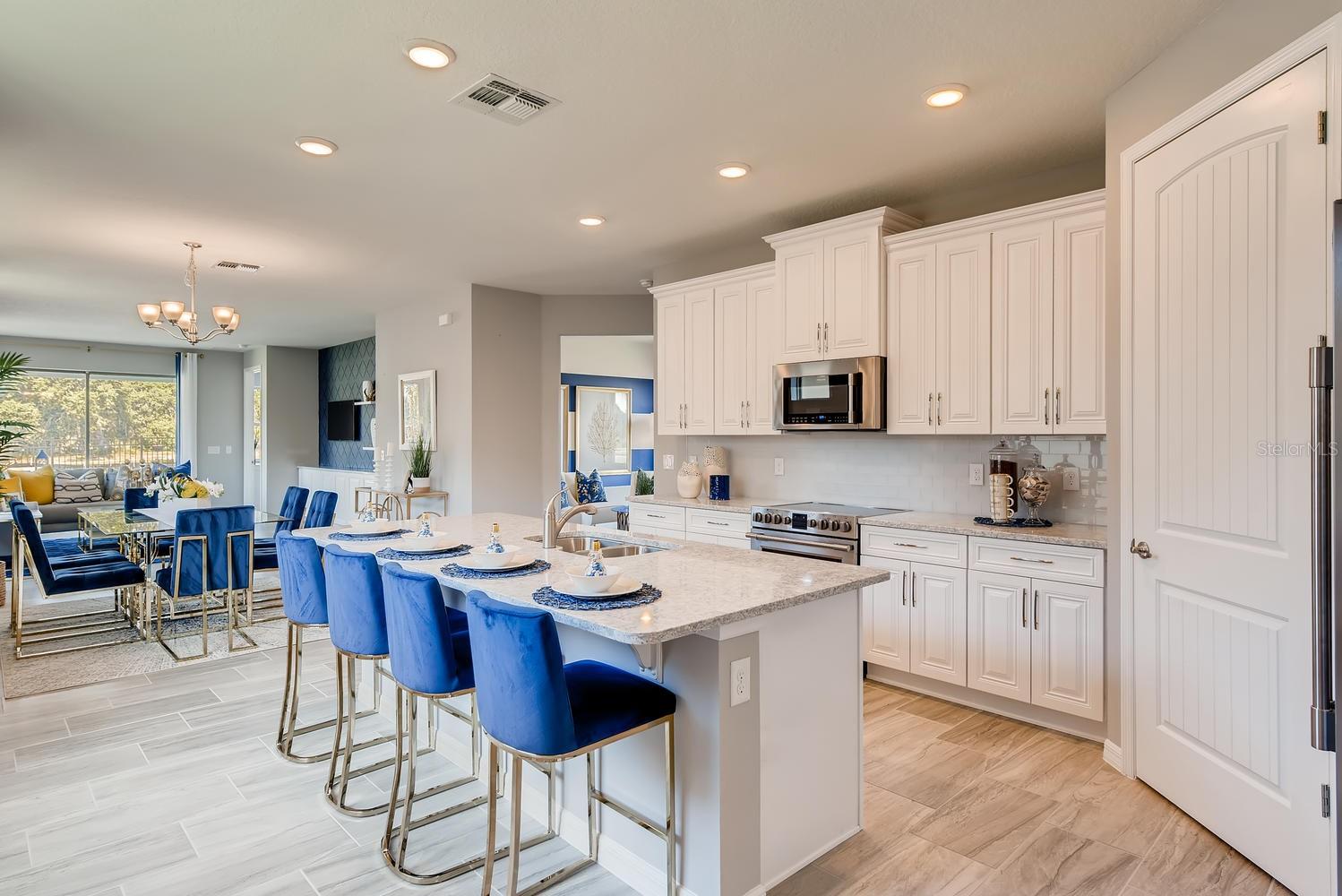 LAKES OF MOUNT DORA - Residential