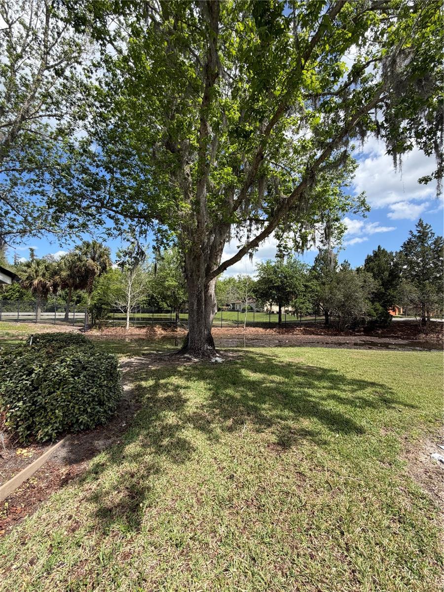 GOLF VILLAS II/POINCIANA - Residential