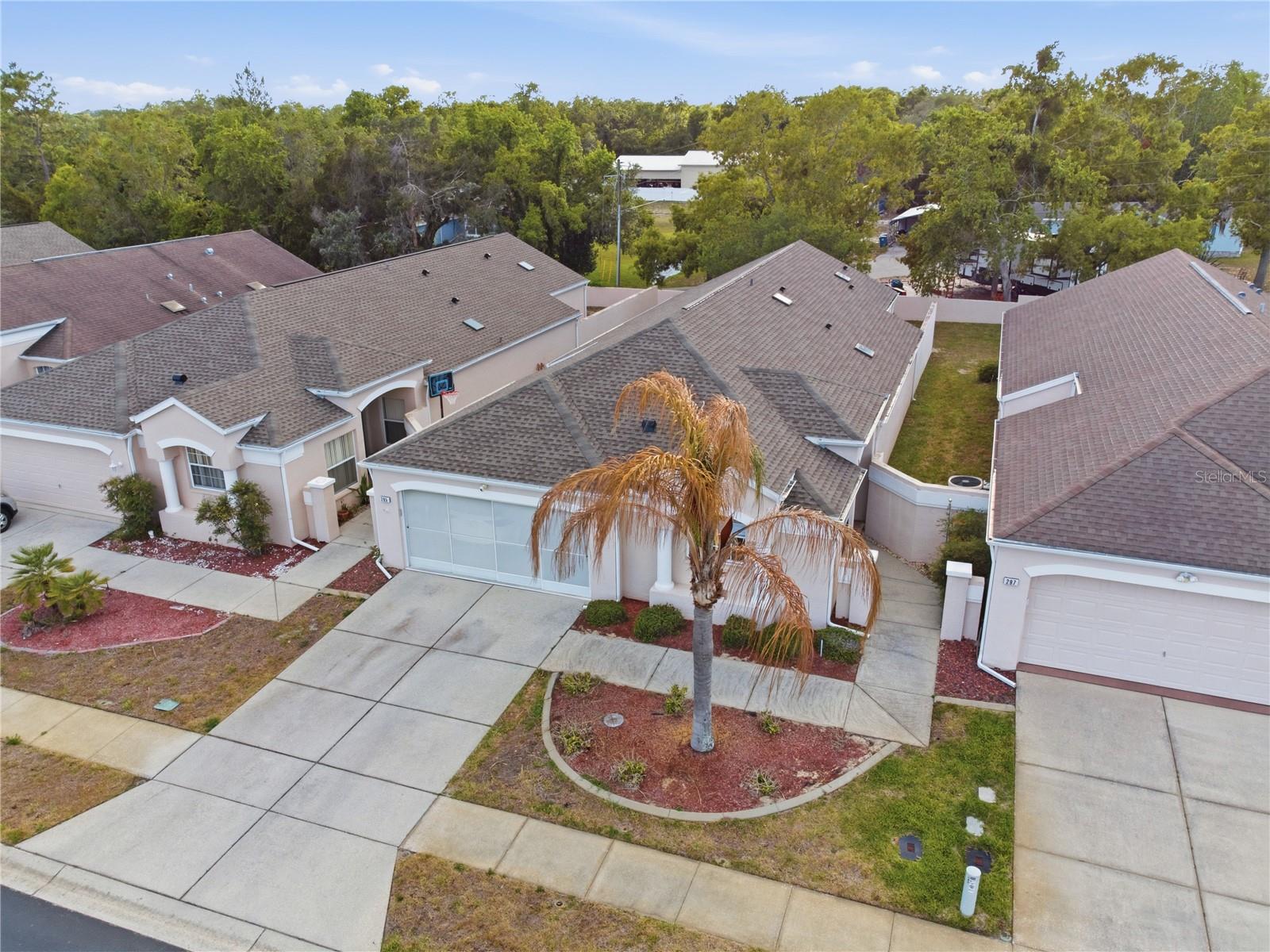PALMS AT SEVEN HILLS - Residential