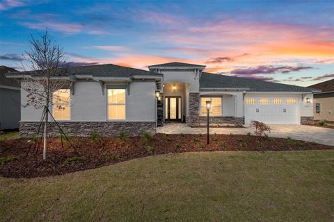 Photo of 10139 SW 82nd Place Road, Ocala, FL 34481 (MLS # OM721633)