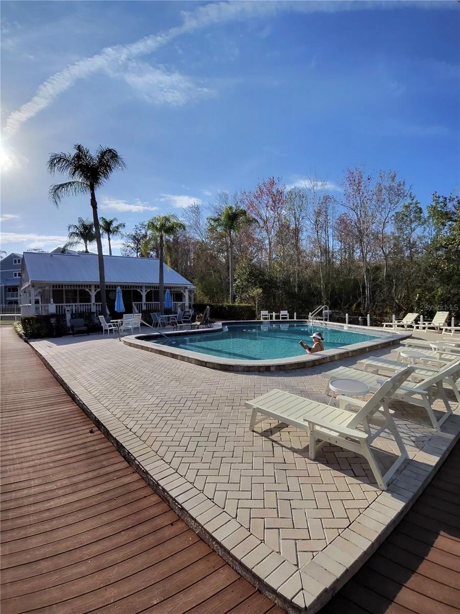 DOLLY BAY A VILLAGE ON LAKE TARPON - Residential Lease