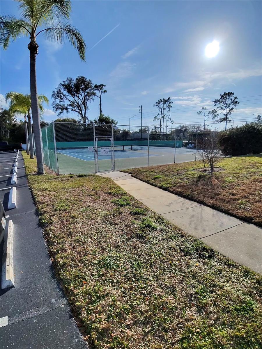 DOLLY BAY A VILLAGE ON LAKE TARPON - Residential Lease