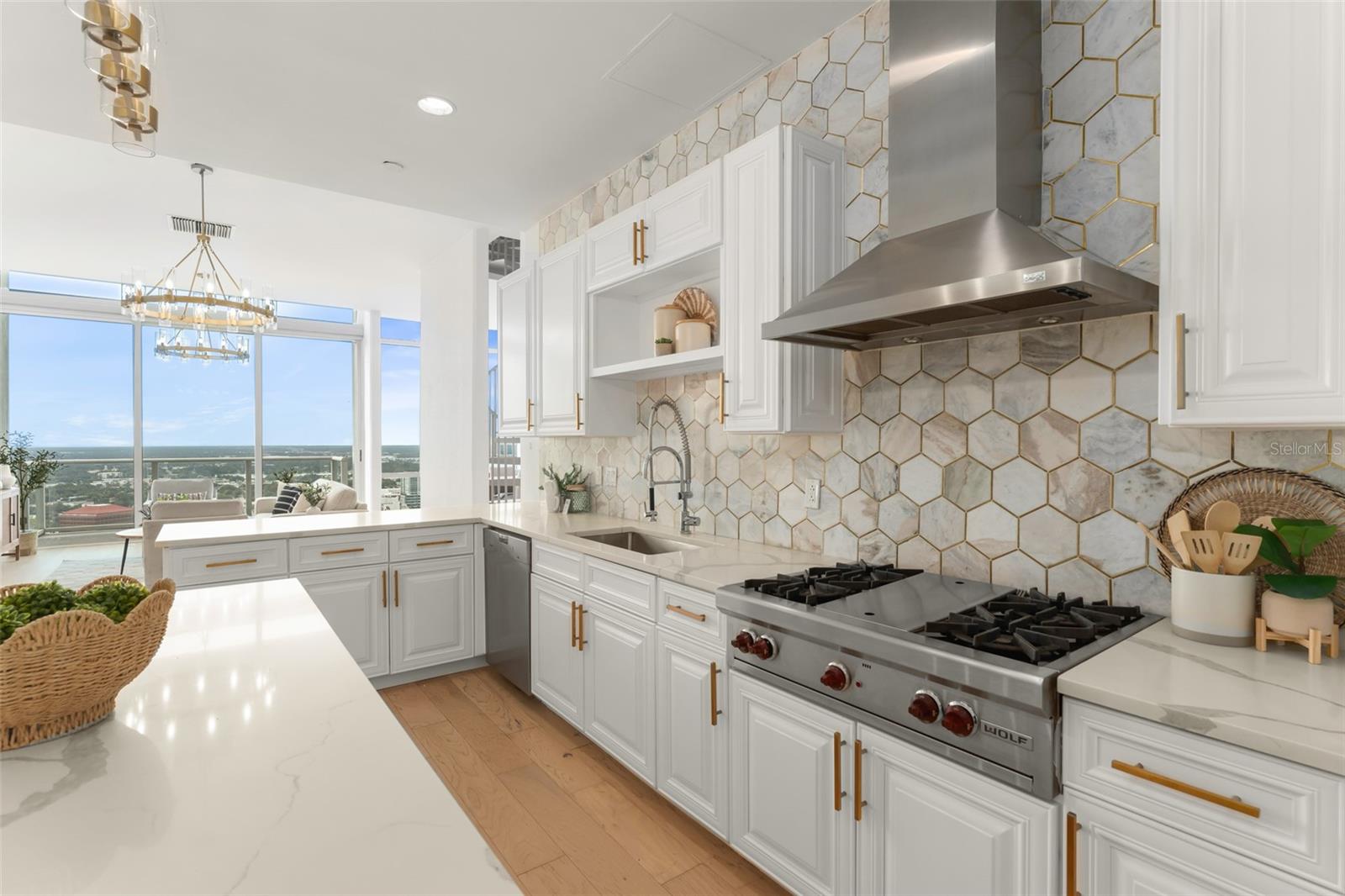 VUE AT LAKE EOLA CONDOMINIUMS - Residential